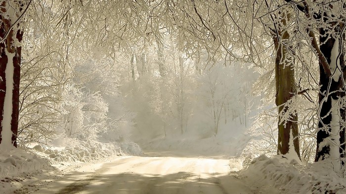 Winter road through a frosted forest