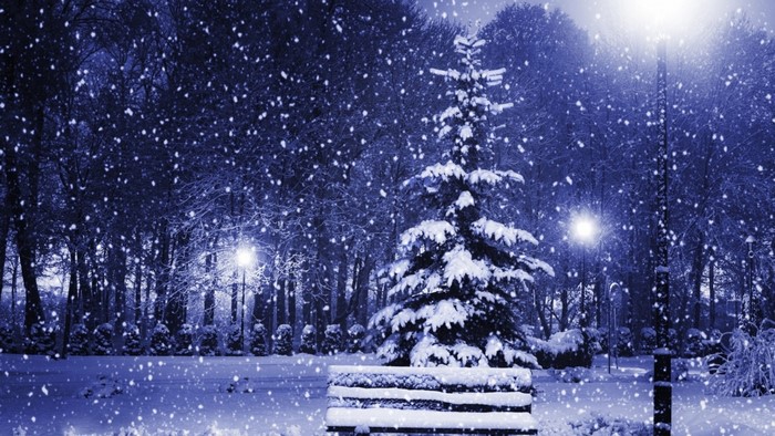Snowy night park with Christmas tree and bench