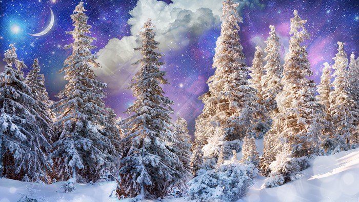 Snowy pine forest under a starry night sky with a crescent moon
