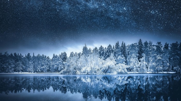Snowy forest reflected in a lake under a starry night sky