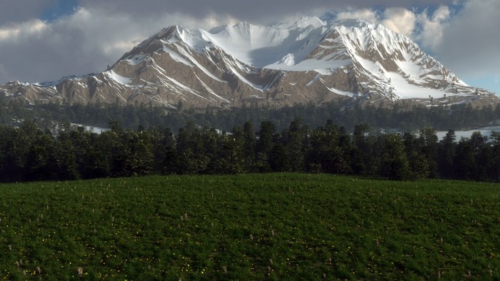 Snow-capped mountains behind a forest and meadow