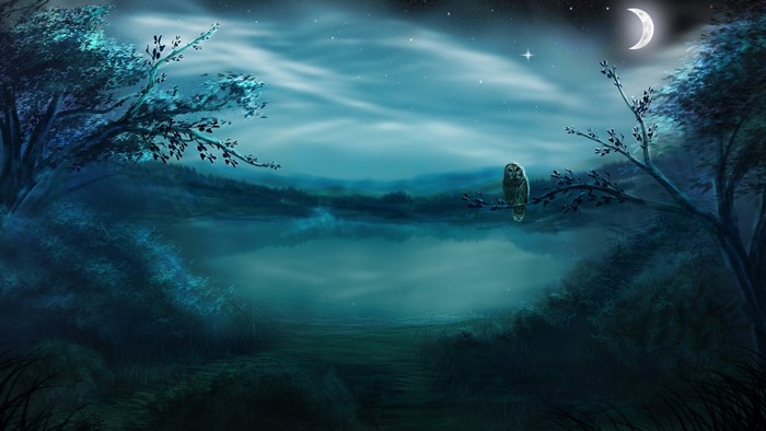 Owl on a branch by a lake at night