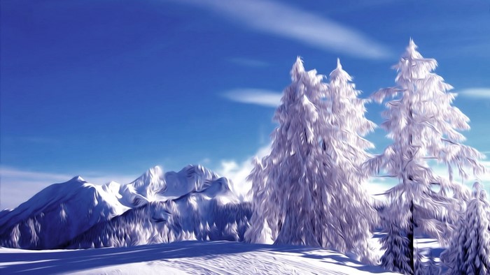 Snowy pine trees and mountains under a blue sky