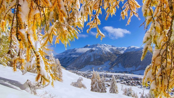 4K Valley with Snow-Covered Mountains and Trees