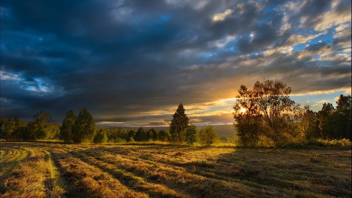 Sunset over a mown field with trees