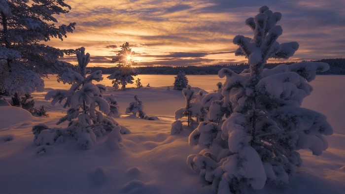 Snowy trees at sunset over a frozen lake