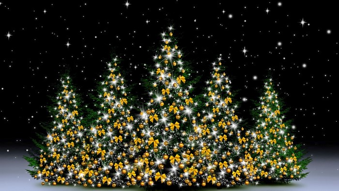 Decorated Christmas trees with lights and ornaments