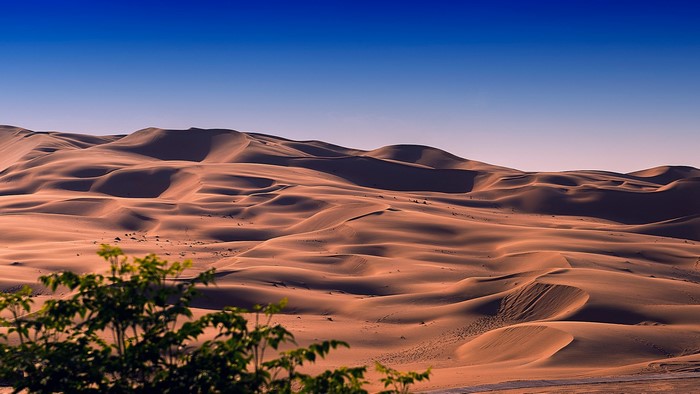 Desert dunes under a clear blue sky