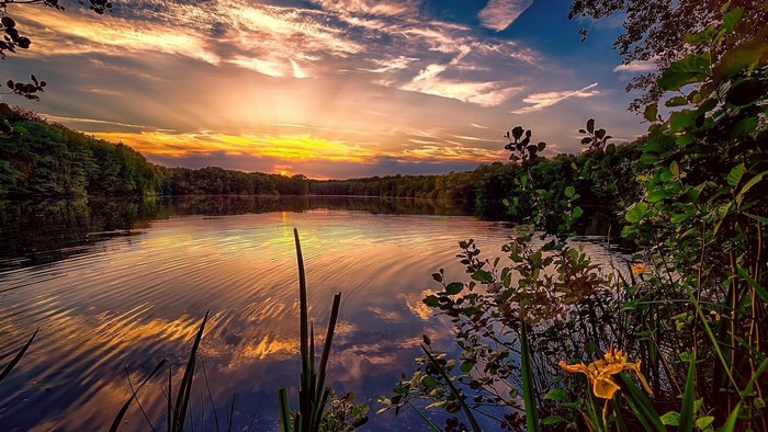 Sunset over a tranquil lake with trees