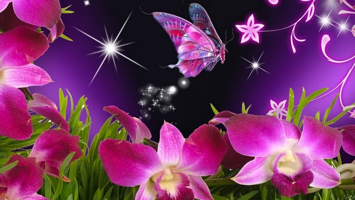 Purple orchids and a pink butterfly