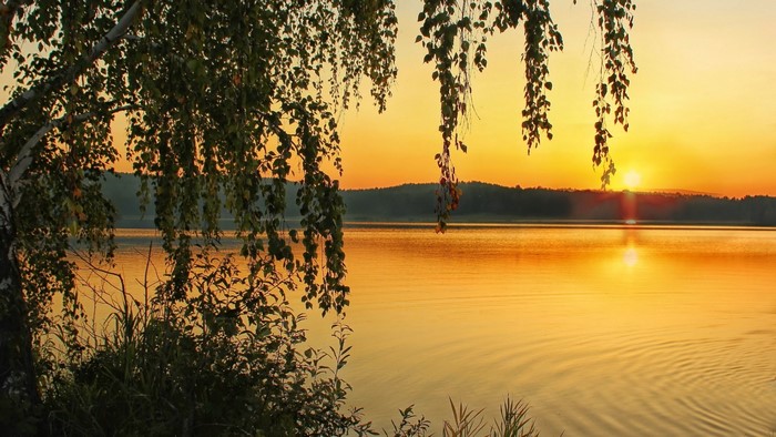 Sunset over a lake with birch tree branches