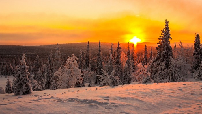 Sunset over a snow-covered forest