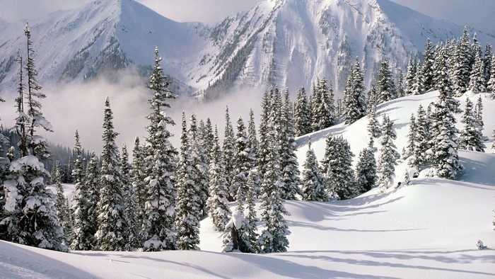 Snowy mountain landscape with pine trees