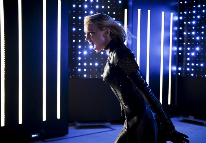 Black Canary from DC Comics
