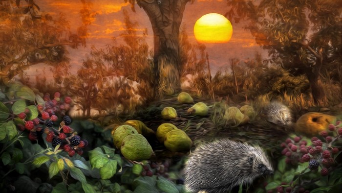 Hedgehogs in a garden with pears and berries at sunset