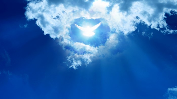 Dove in the clouds
