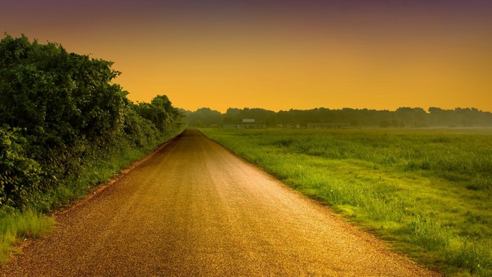 Country road with trees and field at sunset