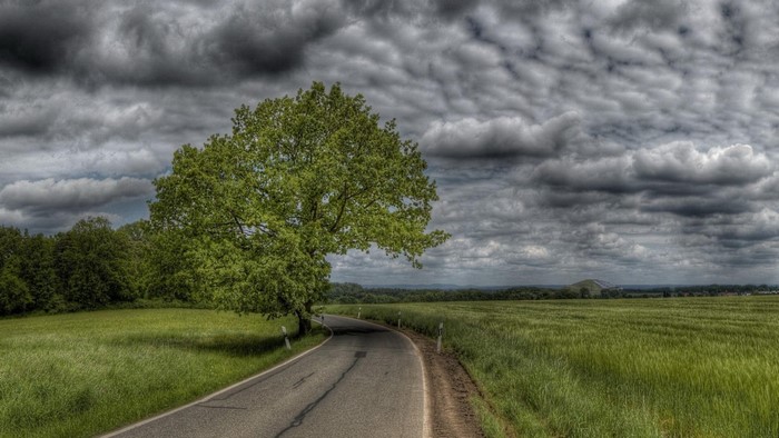 Country road with a tree and stormy clouds