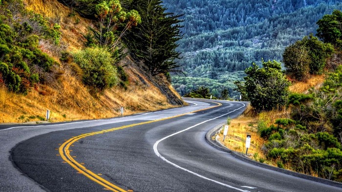 Winding mountain road with trees and forest