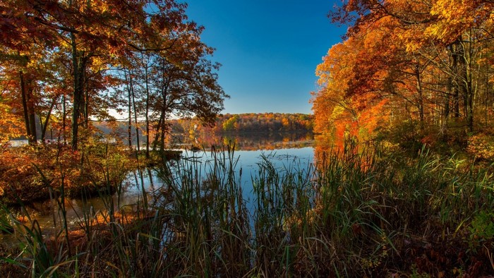Autumn forest reflecting in a calm lake