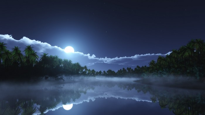 Night scene with moon over tropical lake
