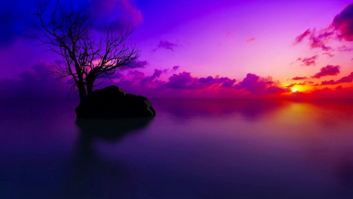 Sunset over the sea with a lone tree