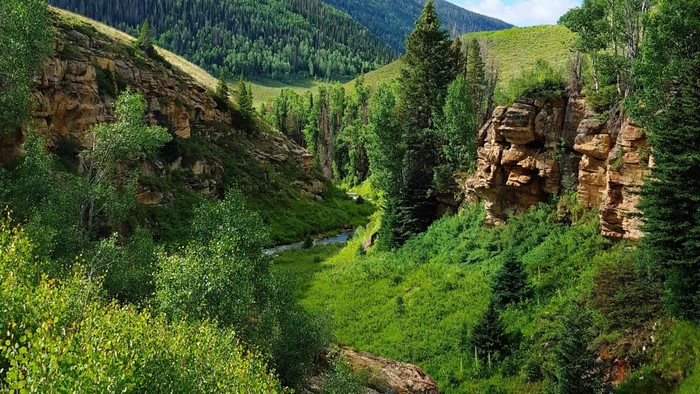 River flowing through a mountain canyon with trees