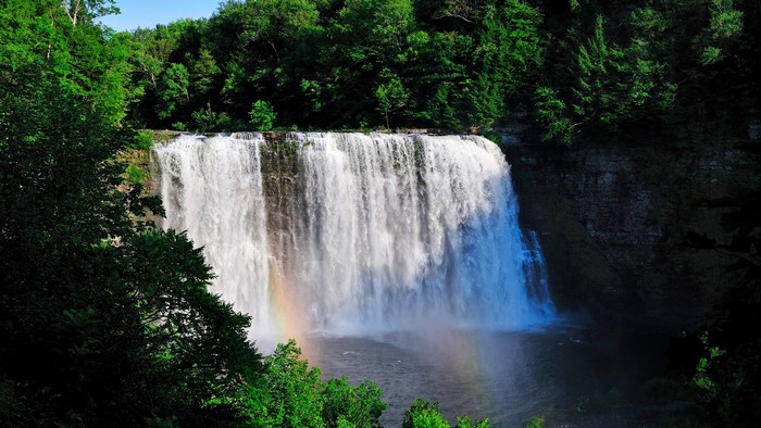 Waterfall with Rainbow and Forest
