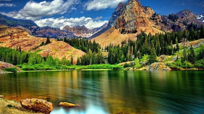 Lake and mountains with pine trees