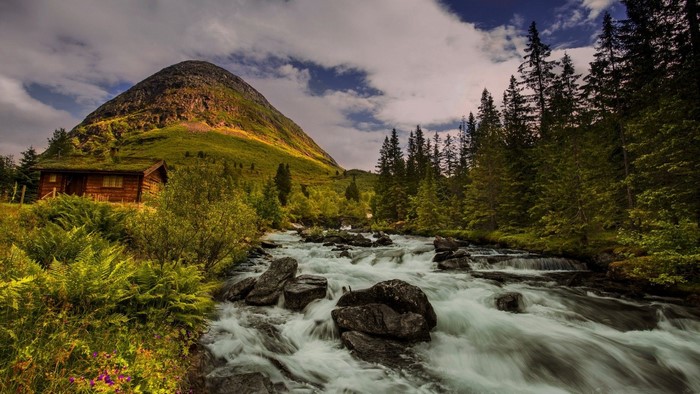 Mountain river with a cabin and forest