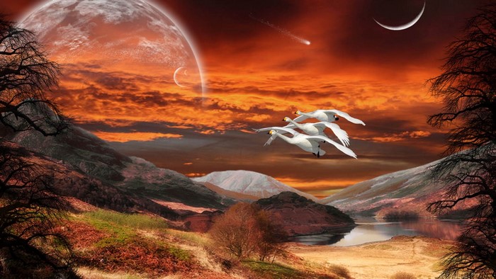 Fantasy landscape with planets and swans