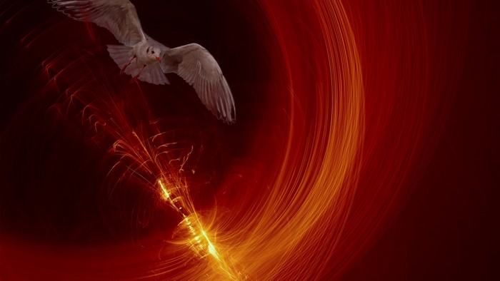 Seagull flying through abstract fiery light