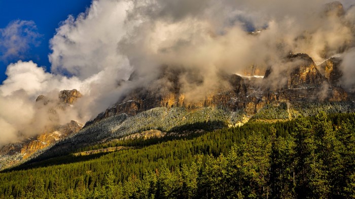 Mountains shrouded in clouds with pine forest
