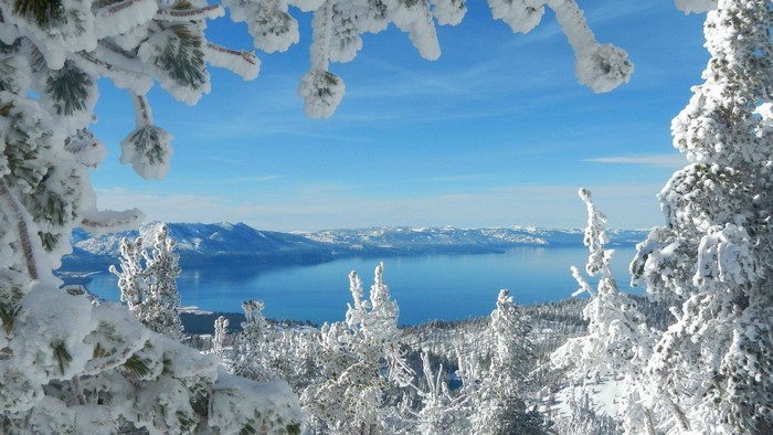 Snow-covered trees overlooking a lake and mountains