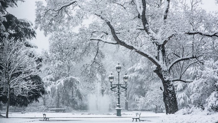 Snowy park with fountain and lamppost