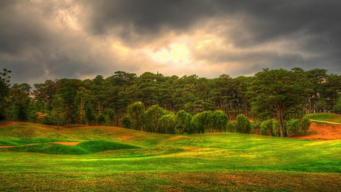 Golf Course with Forest and Cloudy Sky