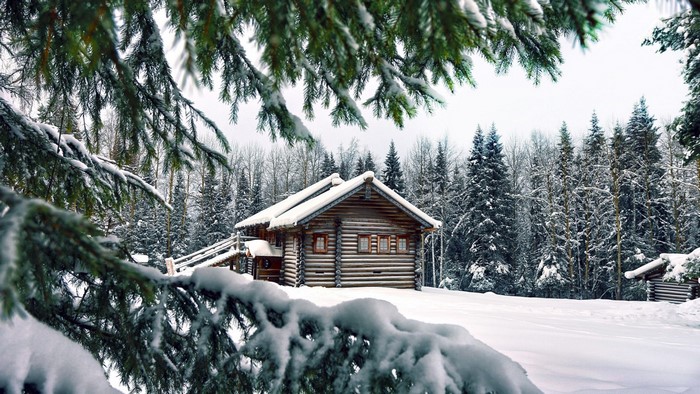 Wooden house in a snowy forest