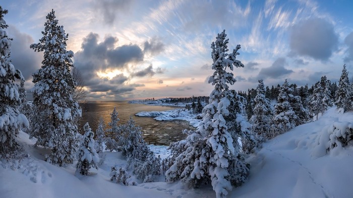 Snow-covered trees on a winter coast at sunset