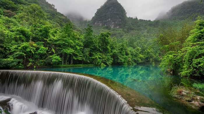 Waterfall in a lush green forest