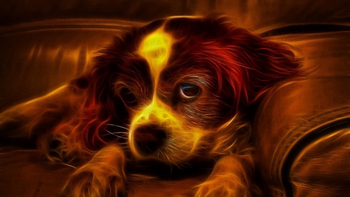 A dog with a glowing effect