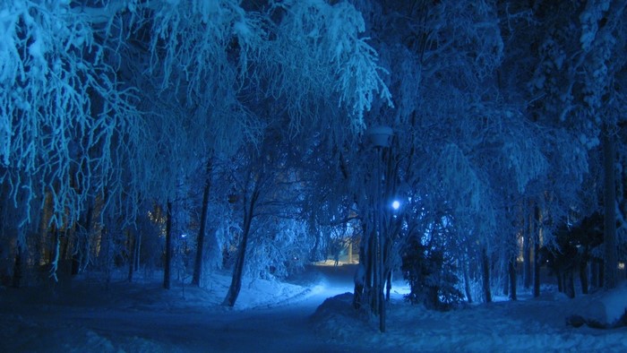 Snowy park at night with blue lighting