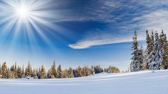 Winter landscape with sun and snow-covered trees