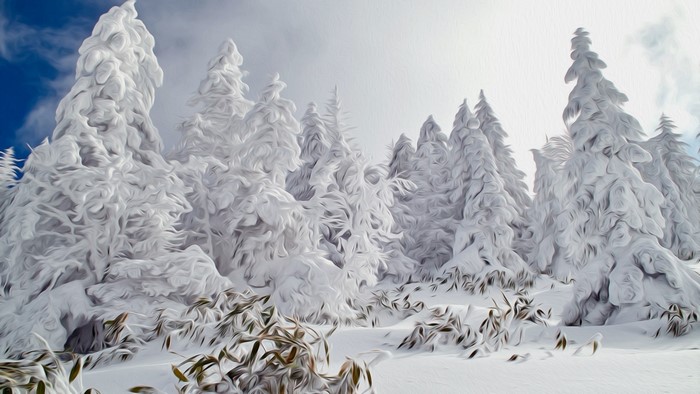 Snow-covered trees in a winter landscape