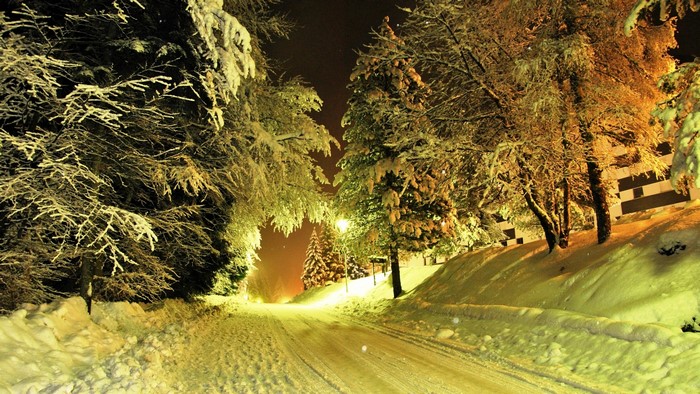 4K Winter road with snow-covered trees