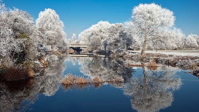 Winter landscape with frosted trees and river reflection