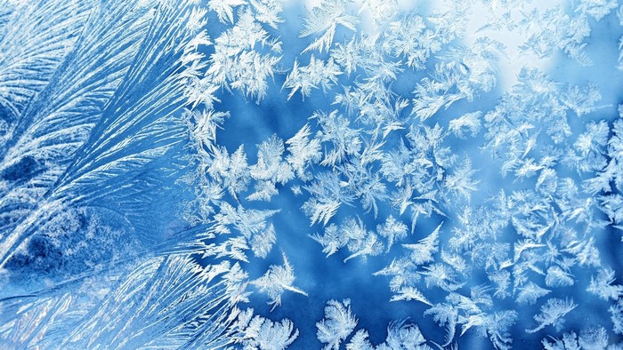 Frost patterns on glass