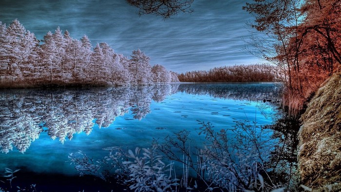 Trees reflected in a blue lake