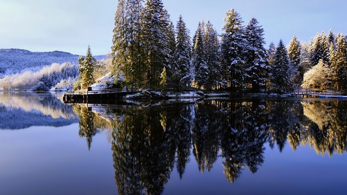 Winter lake with snow-covered trees and reflection