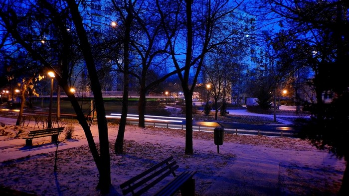 City park at night with snow and streetlights