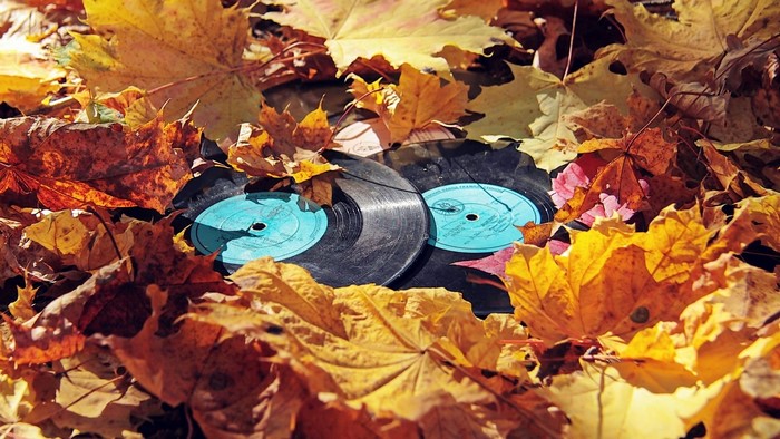 Vinyl records in autumn leaves
